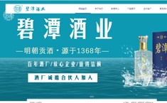 湖北碧潭酒業有限公司