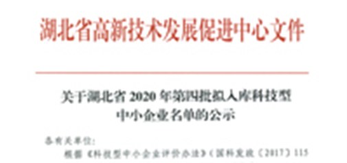 恭喜我司獲得武漢市“科技型中小企業”榮譽稱號！